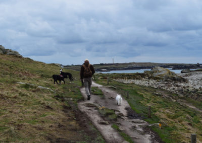 l'homme, le chien et la nature